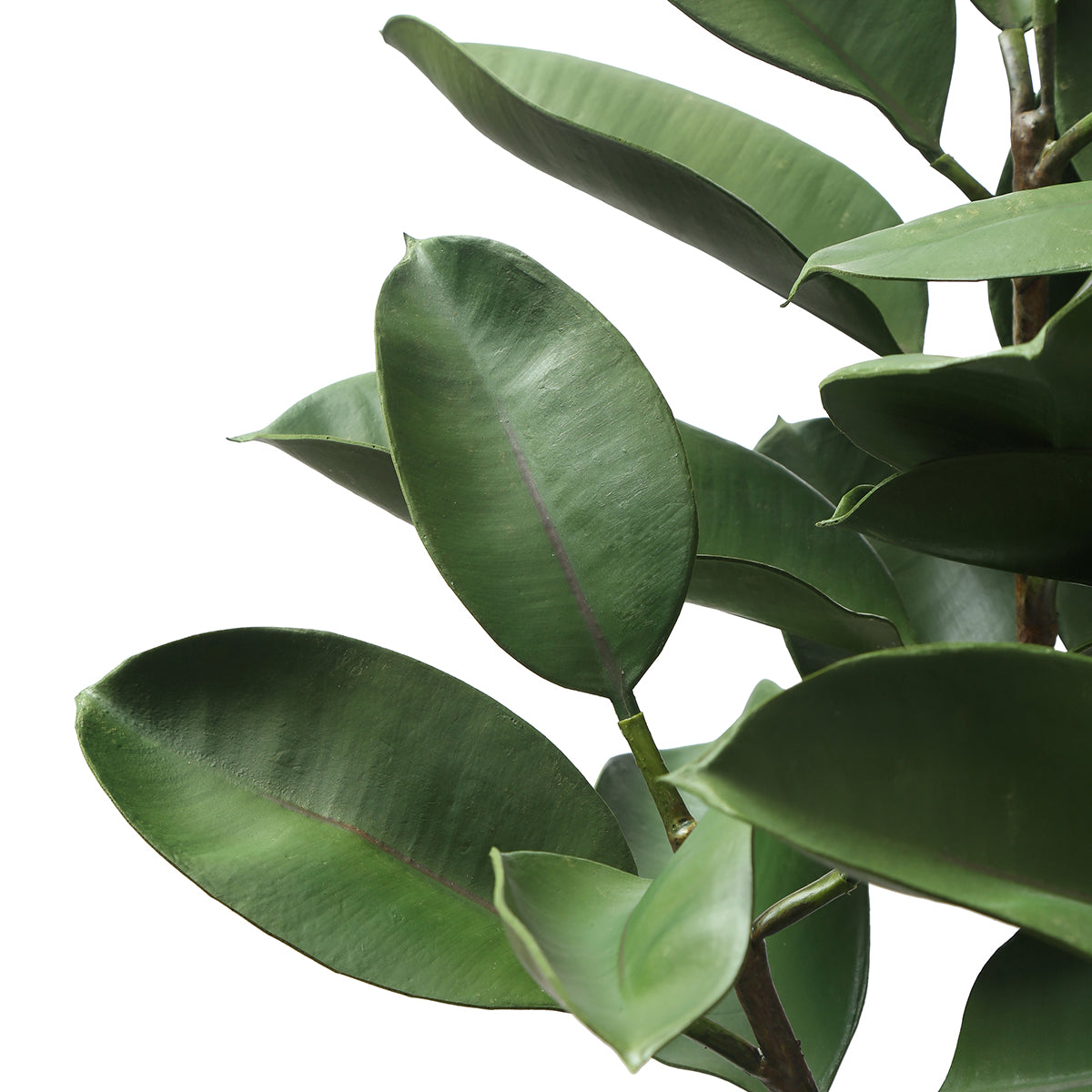 sia-deco-noah-ficus-en-pot-plante-artificielle-vert-115-cm image 4