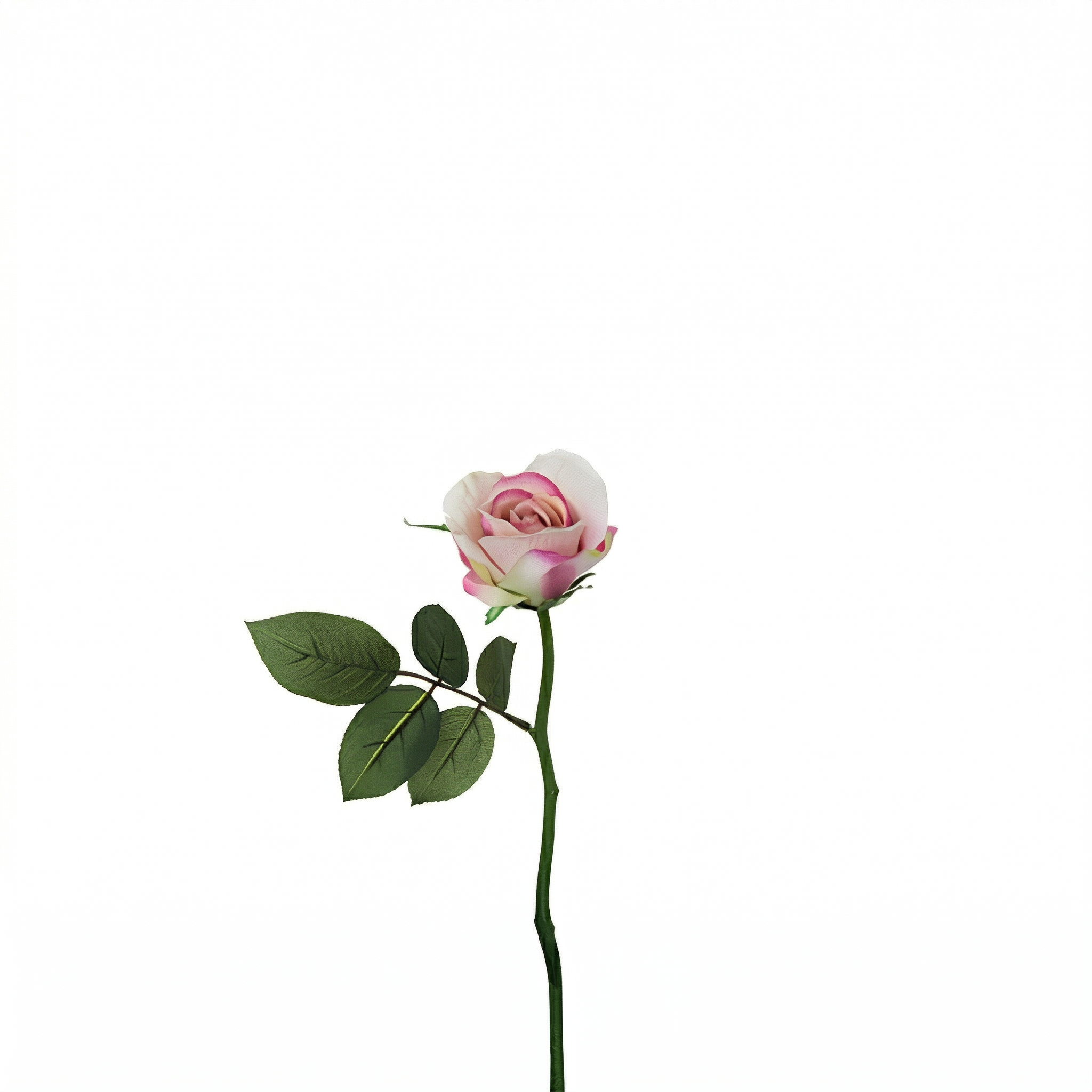 sia-noah-tige-rose-maria-ferm-e-32-cm-rose image 3