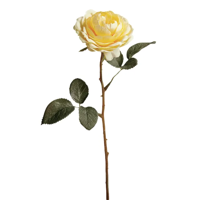 sia-deco-noah-rose-tea-33-cm-fleur-artificielle-jaune image 1