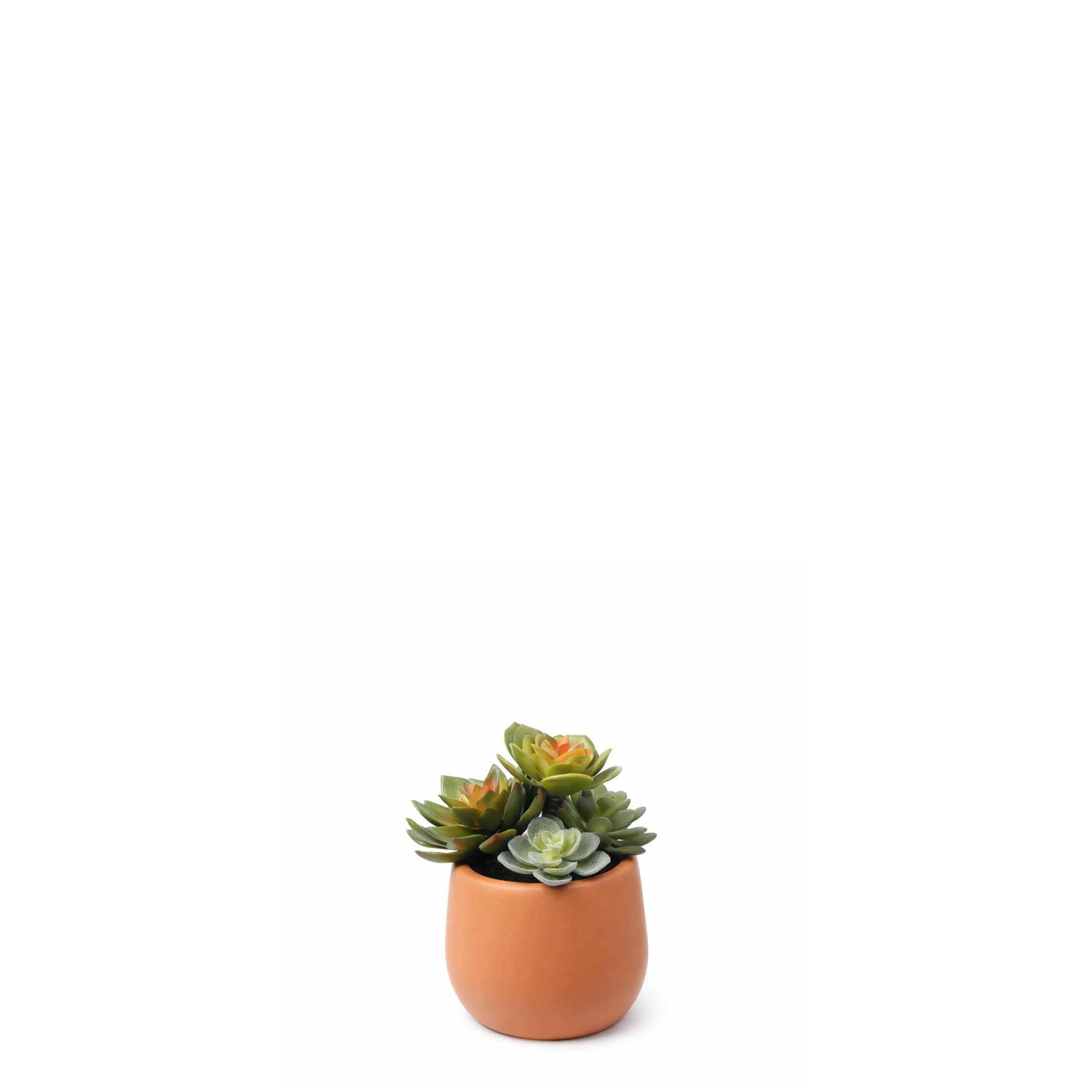 sia-noah-succulente-artificielle-en-pot-vert-7-cm image 1
