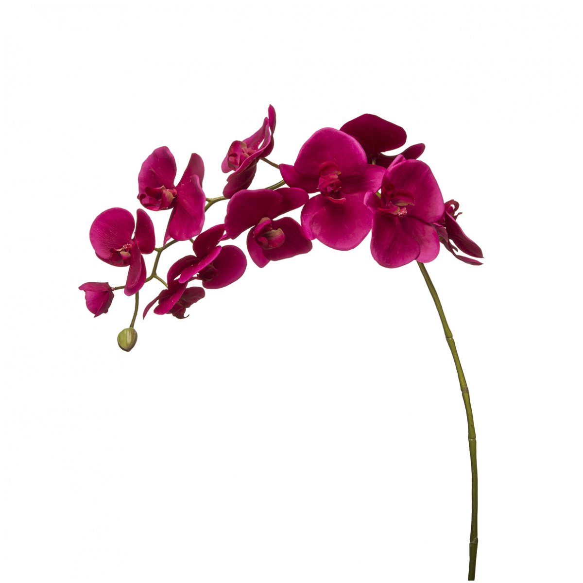 sia-deco-noah-phalaenopsis-tige-orchid-e-blanc-violet-100cm image 6