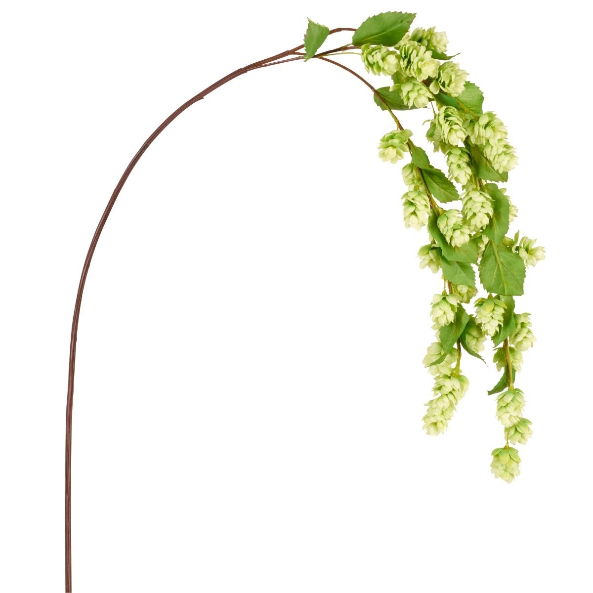 sia-noah-tige-houblon-tombante-verte-129-cm image 4