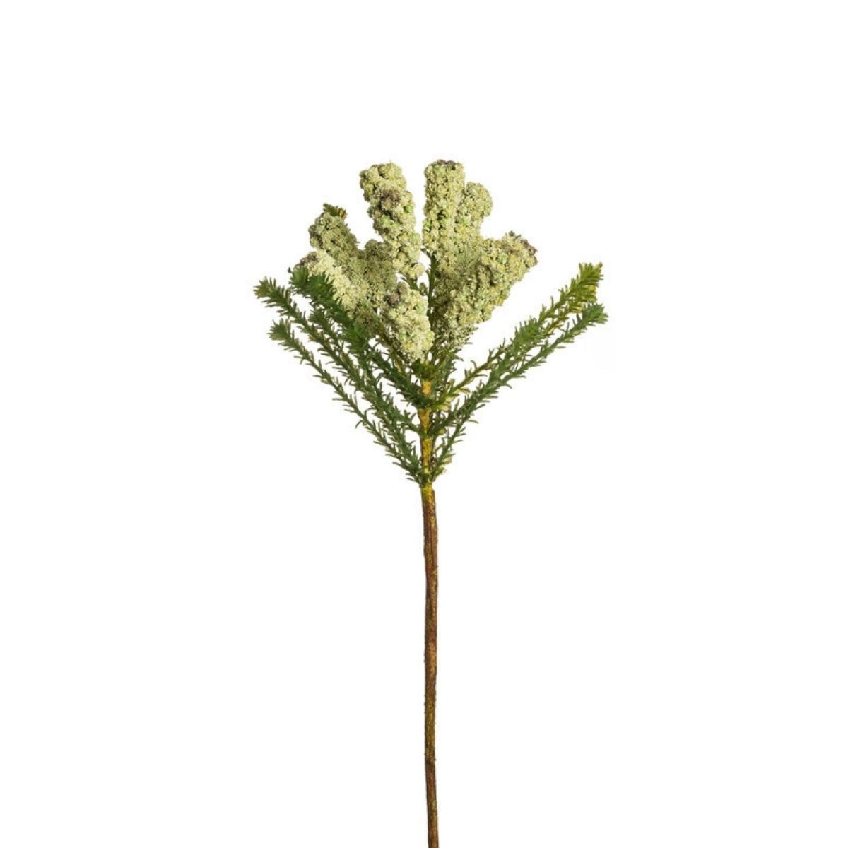 sia-deco-noah-pin-africain-48-cm-tige-cr-me-vert image 3