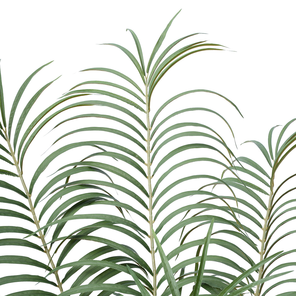 sia-noah-palmier-areca-artificiel-en-pot-vert-180-cm image 3