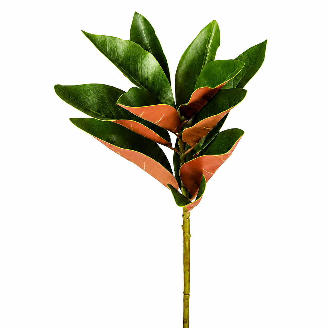 sia-noah-feuillage-magnolia-artificiel-vert-76-cm image 1