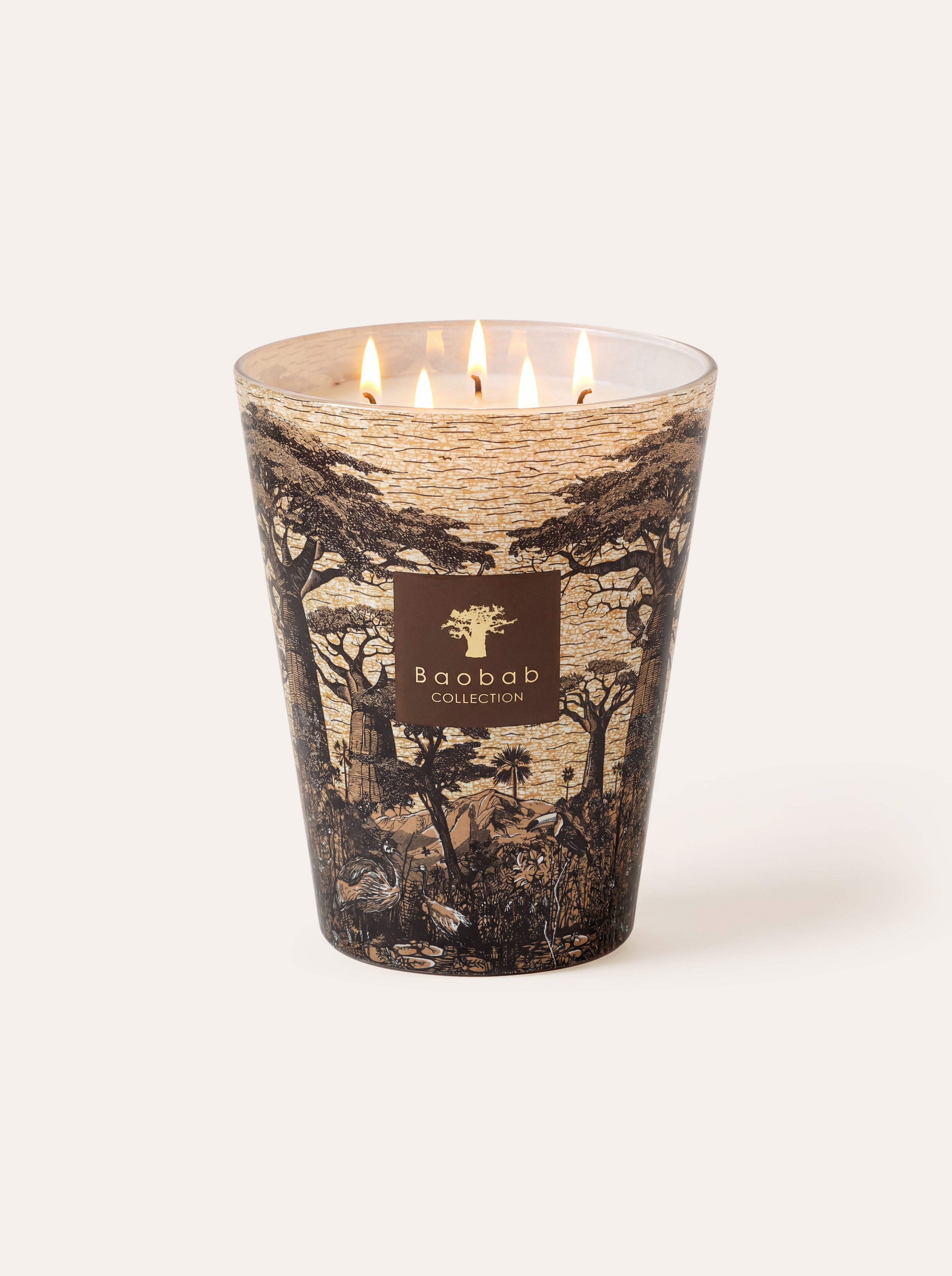 baobab-collection-sacred-trees-mankono-bougie-classique-pic-e image 1