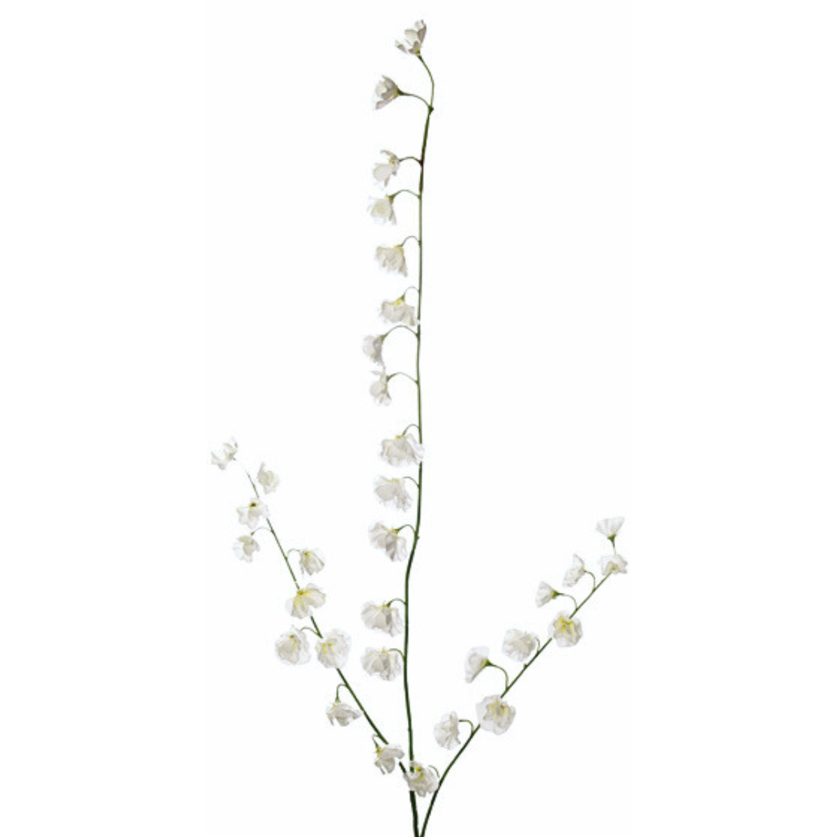 sia-noah-tige-pois-de-senteur-fleur-artificielle-blanc-145-cm image 3