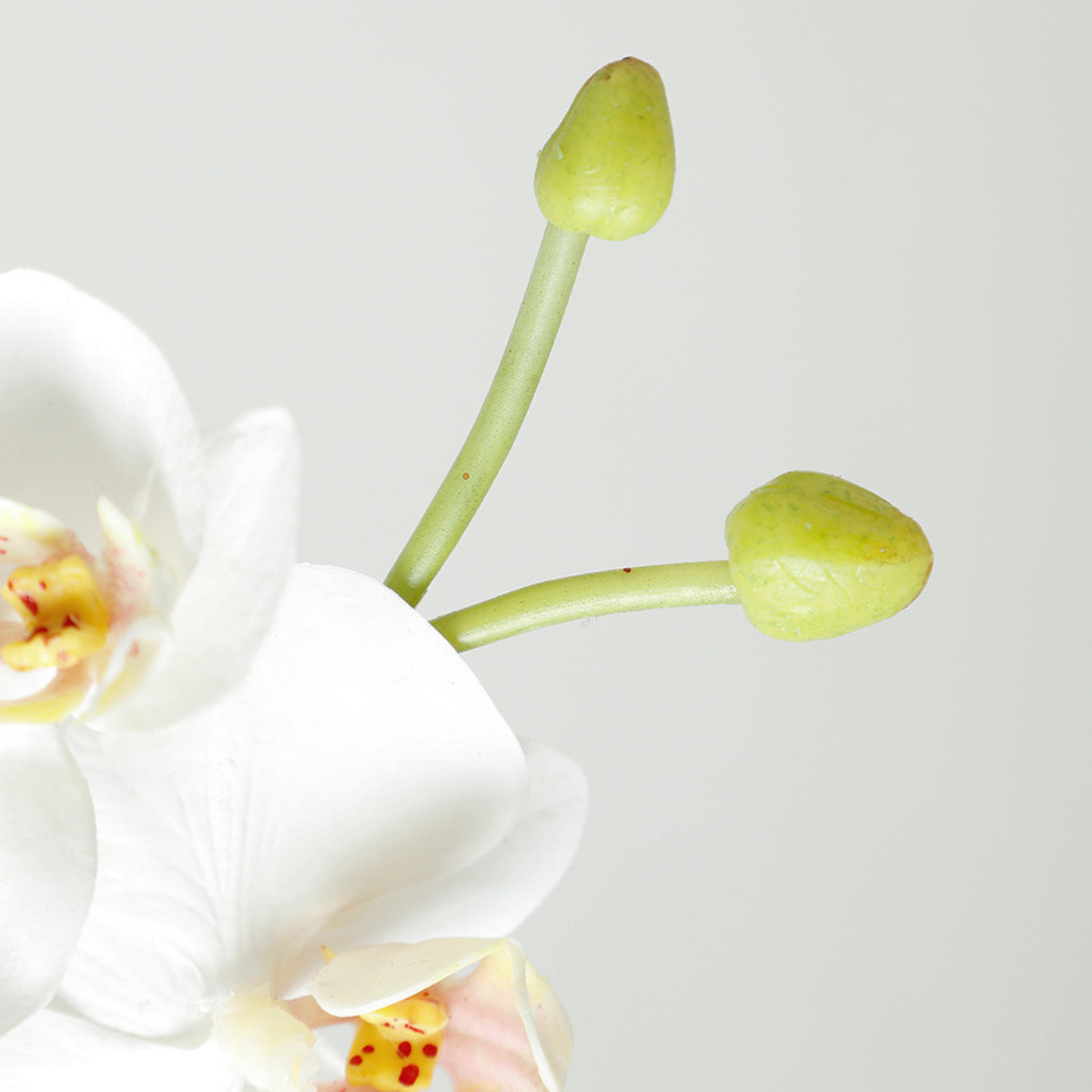 sia-noah-tige-orchid-e-artificielle-blanche-72-cm-premium image 4