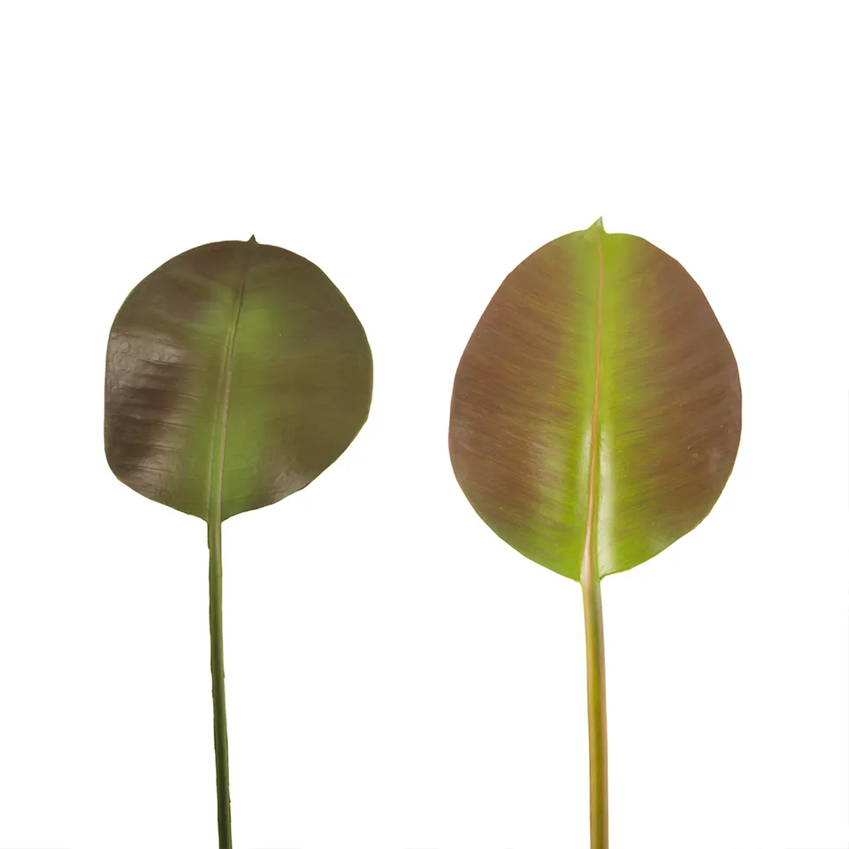 sia-noah-feuilles-de-ficus-artificielles-36-cm-vert image 1