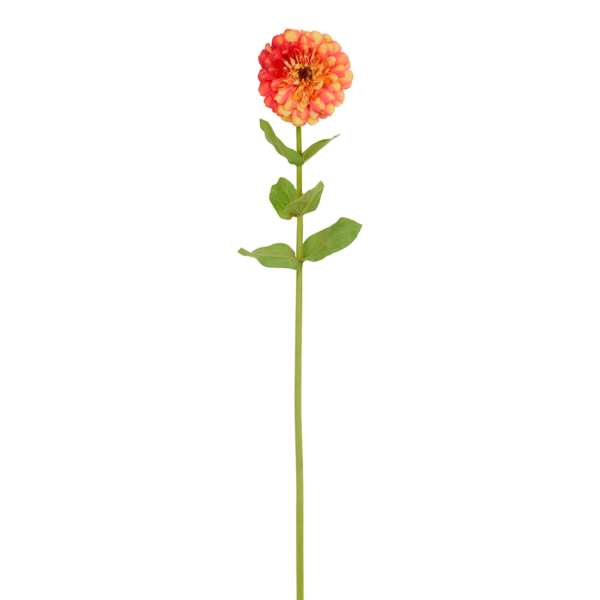 sia-deco-noah-tige-zinnia-artificiel-orange-68-cm image 5