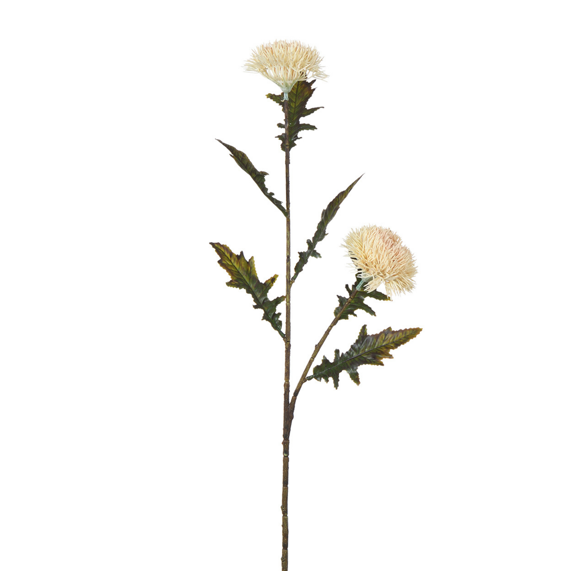 sia-noah-chardon-tige-artificielle-78-cm-blanc image 4