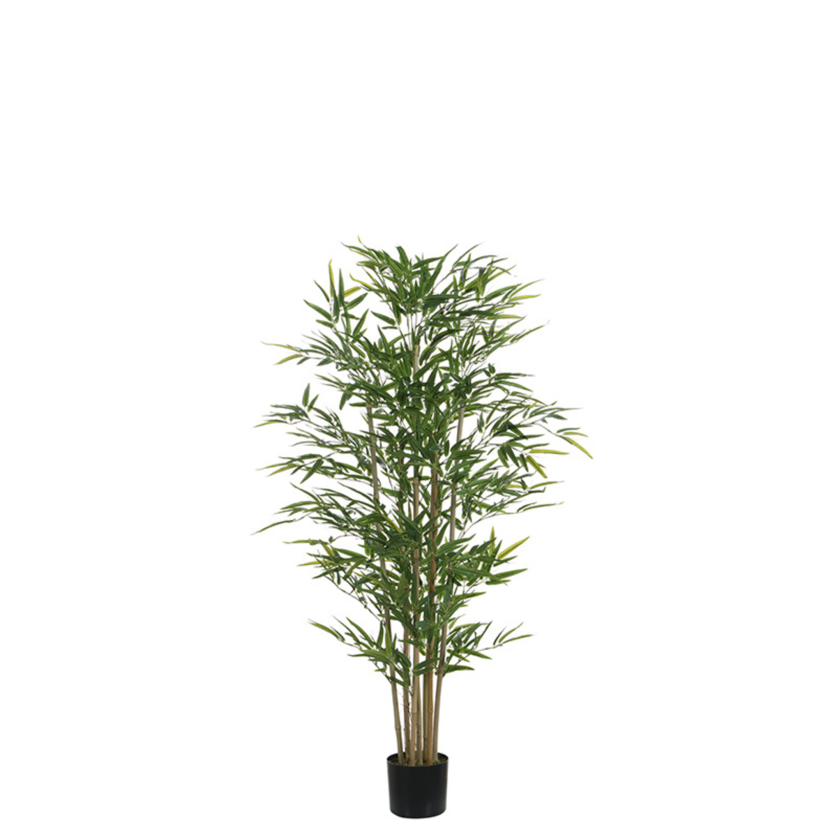 sia-noah-bambou-en-pot-vert-150-cm-naturel image 1