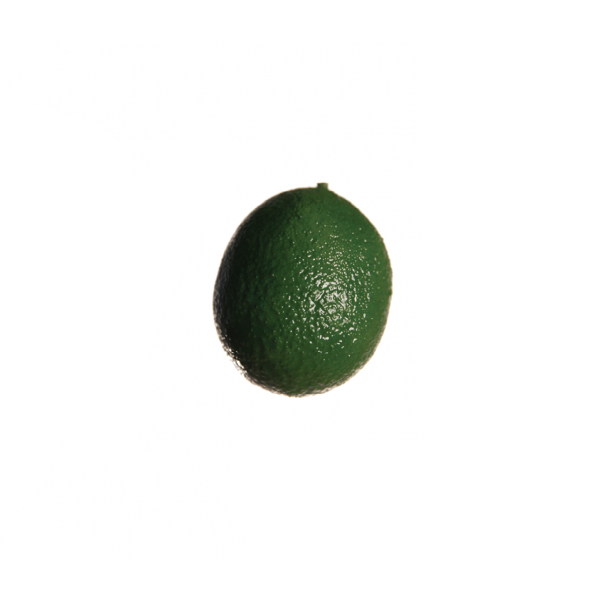 sia-noah-citron-artificiel-5-cm-vert-r-aliste image 2