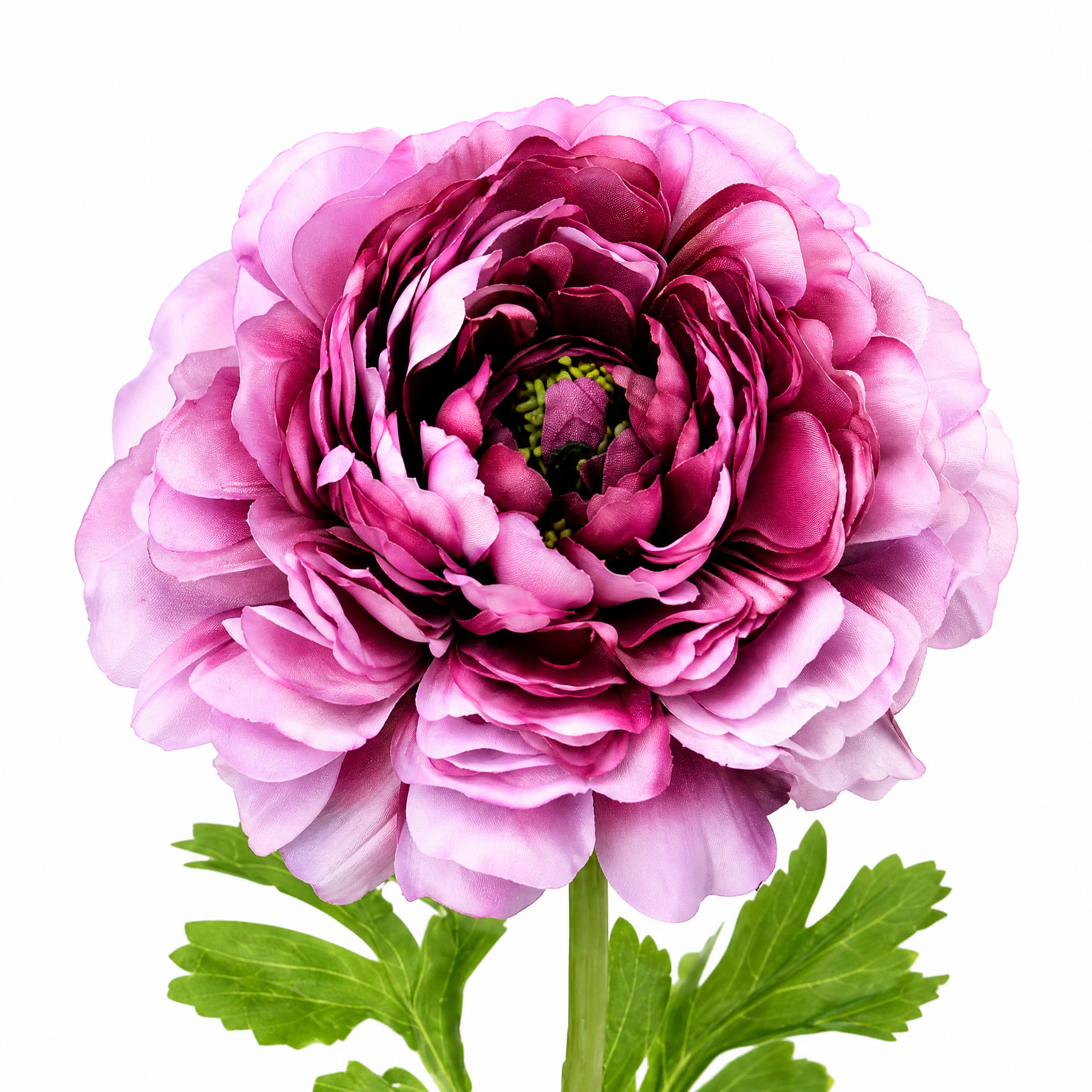 sia-deco-nora-tige-renoncule-artificielle-40-cm-rose-p-le image 2