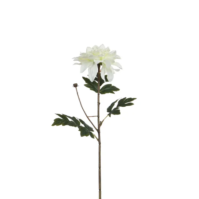 sia-noah-tige-dahlia-blanc-65-cm-fleur image 1