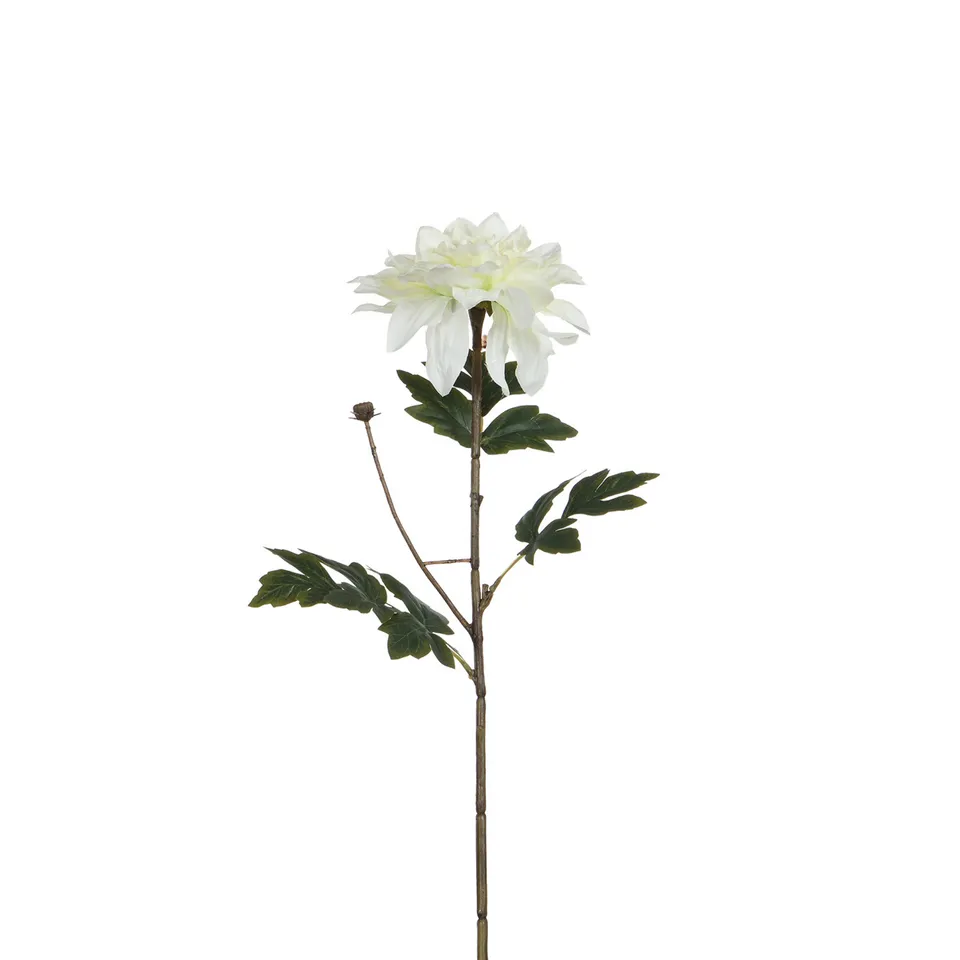 sia-noah-tige-dahlia-blanc-65-cm-fleur image 1