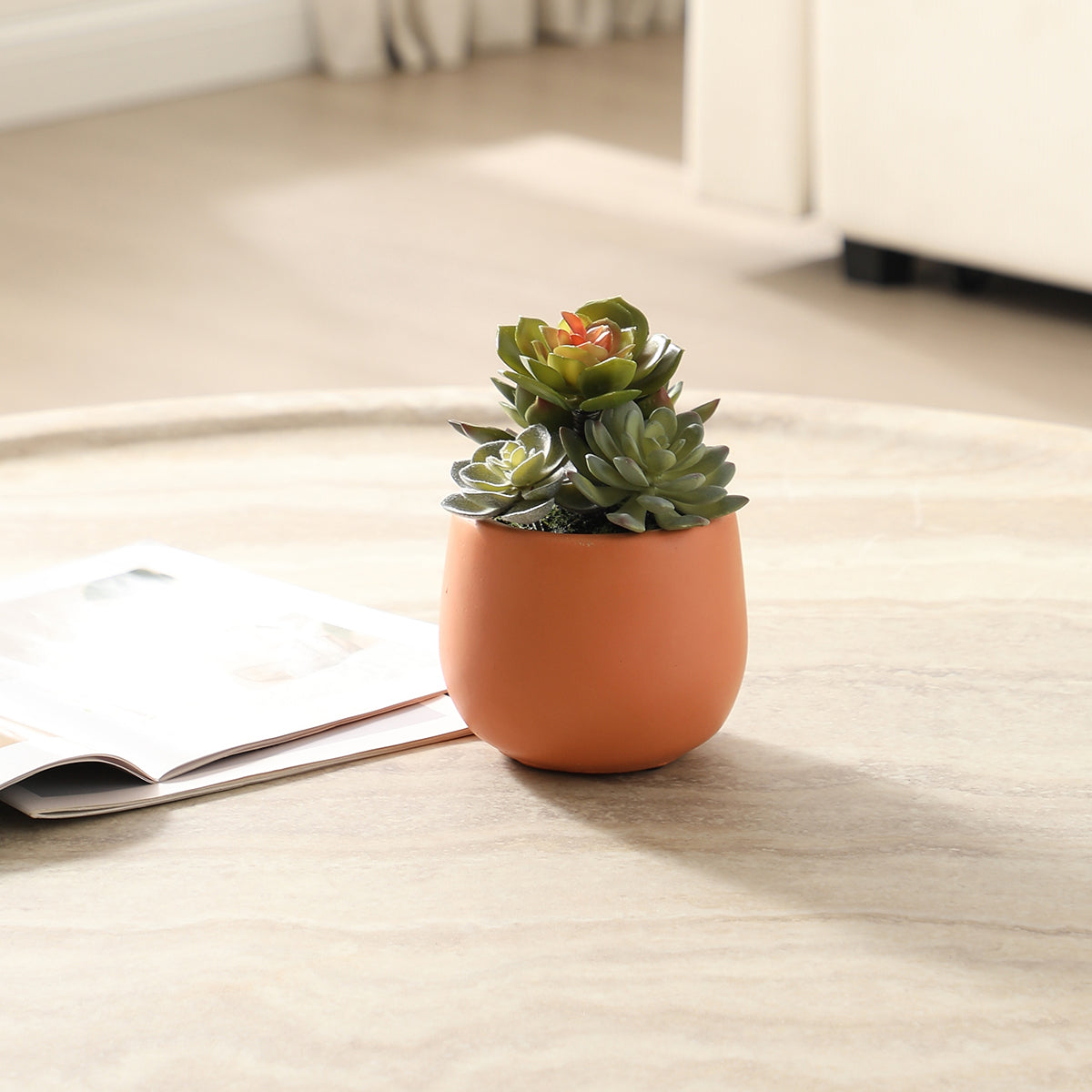 sia-noah-succulente-artificielle-en-pot-vert-7-cm image 4