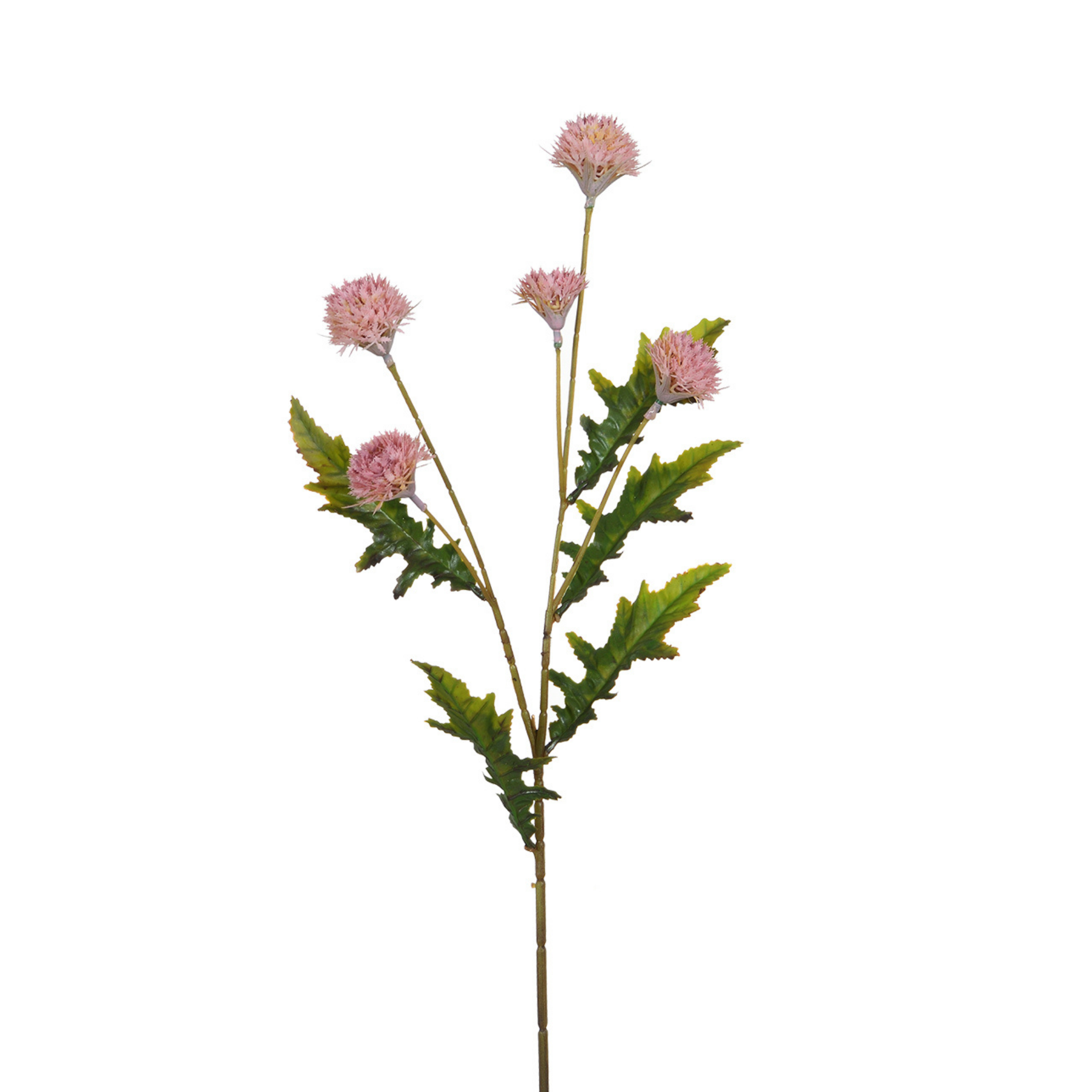 sia-deco-noah-chrysanth-me-ping-pong-fleur-artificielle-blanc-62-cm image 7