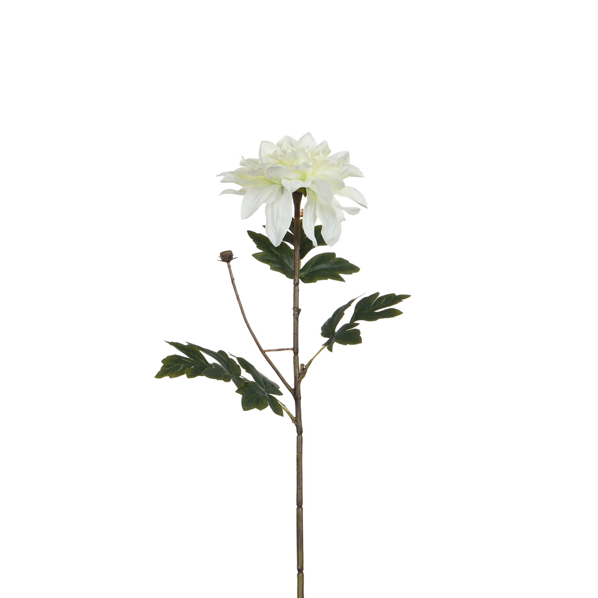 sia-noah-tige-dahlia-blanc-65-cm-fleur image 1