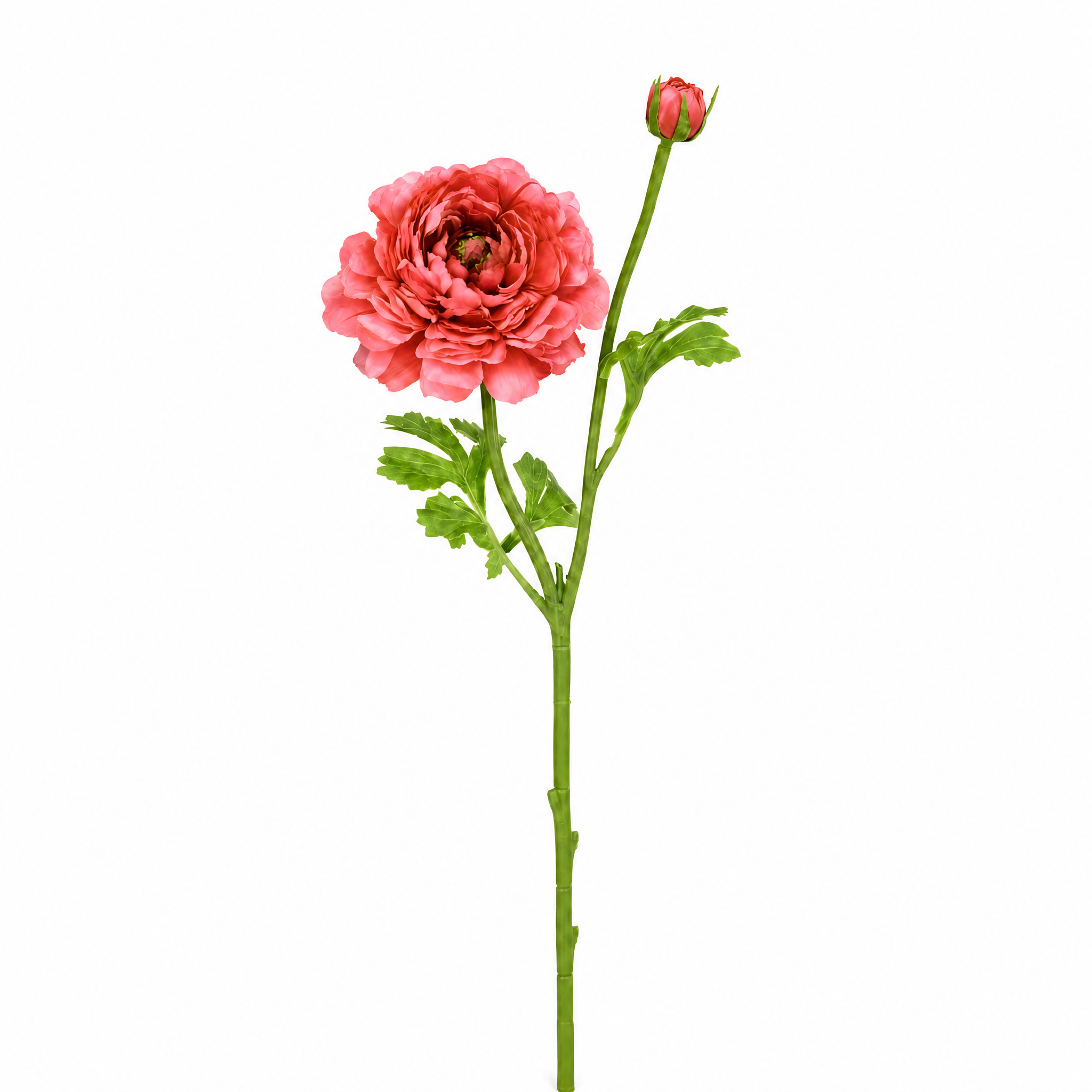 sia-deco-nora-tige-renoncule-artificielle-40-cm-rose-p-le image 3