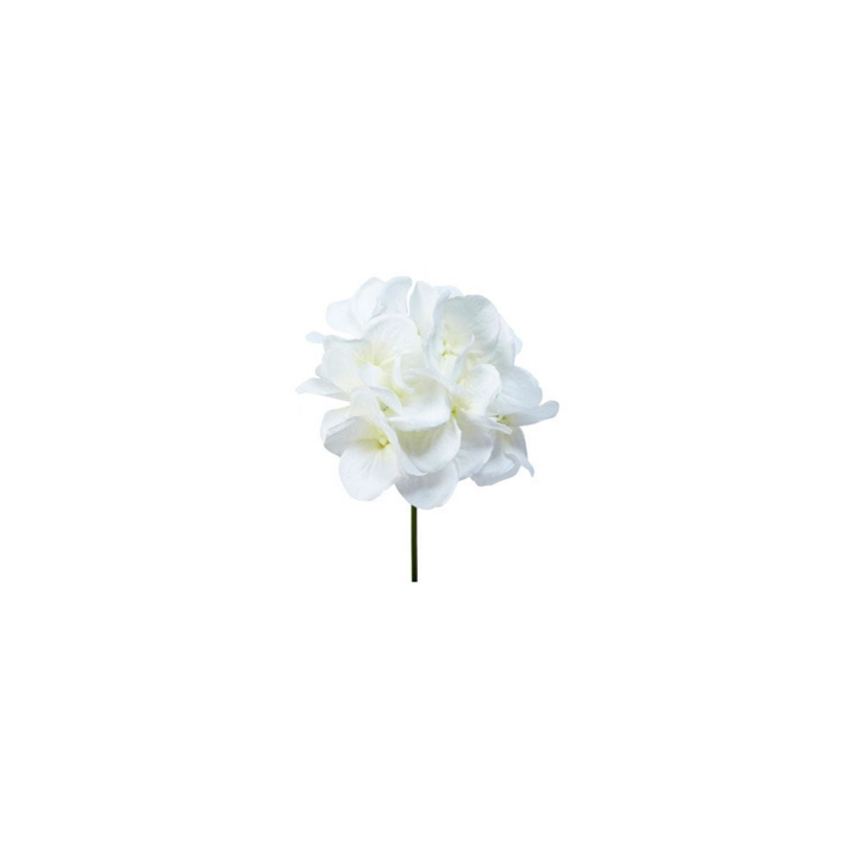 sia-deco-noah-hydrangea-tige-piquer-blanche-18-cm image 1