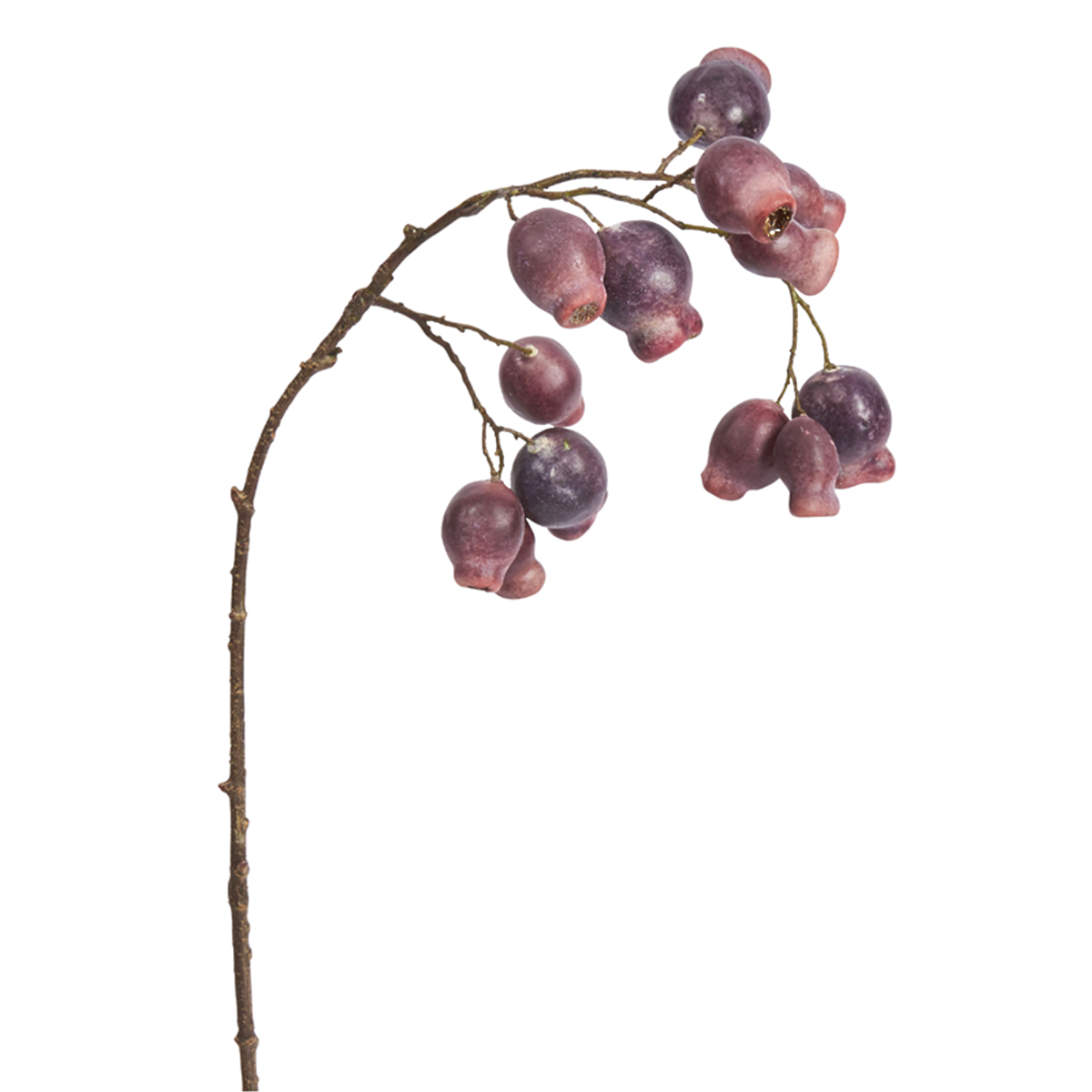 sia-noah-glantier-branche-artificielle-orange-64-cm image 4