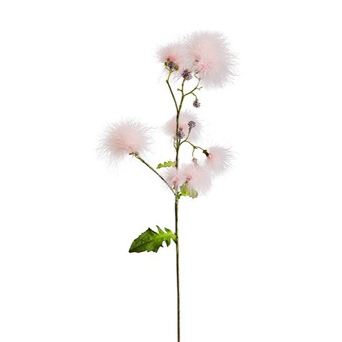 sia-noah-tige-cotinus-rose-63-cm-fleur image 1
