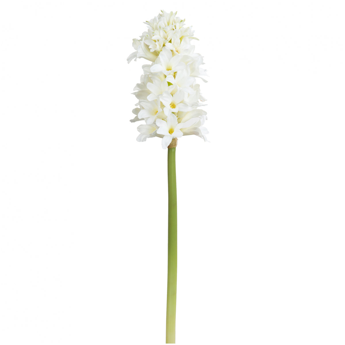 sia-noah-tige-de-jacinthe-natacha-45-cm-blanc image 1