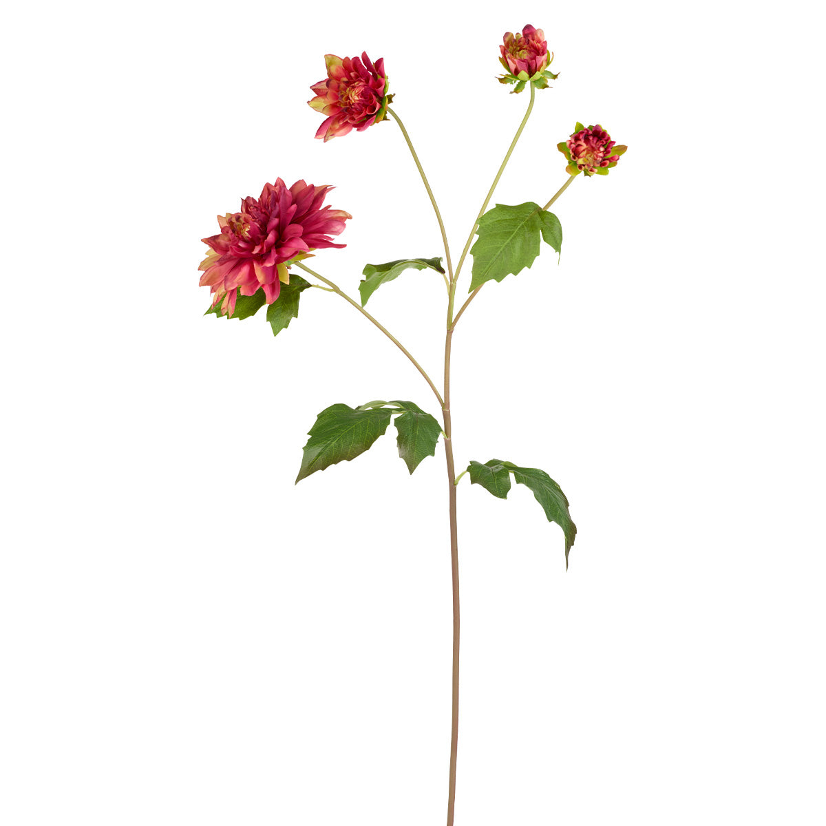 sia-deco-noah-clara-tige-dahlia-fuchsia-80-cm image 1