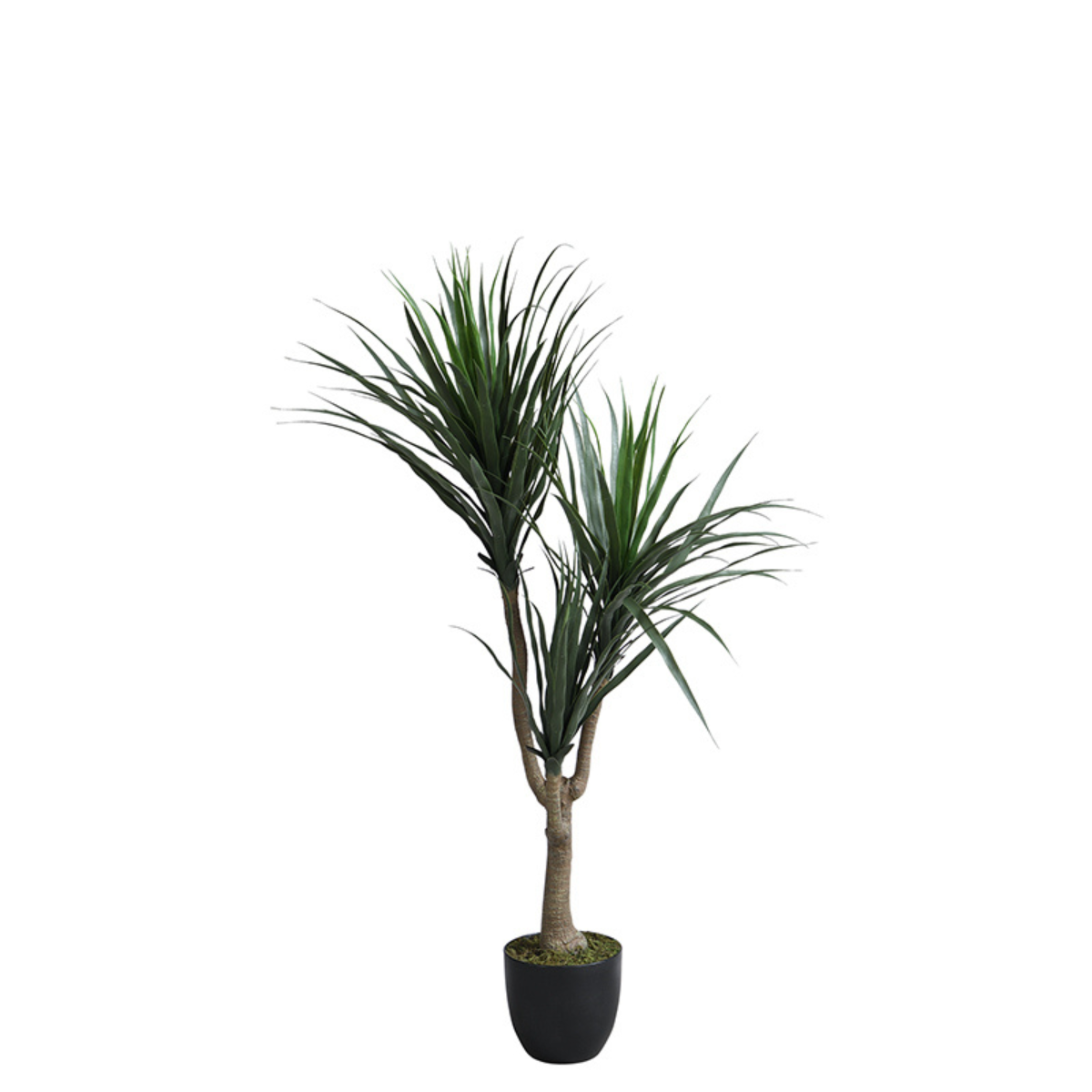 sia-deco-noah-dracaena-arbre-artificiel-vert-119-cm-feuillage-fin image 1