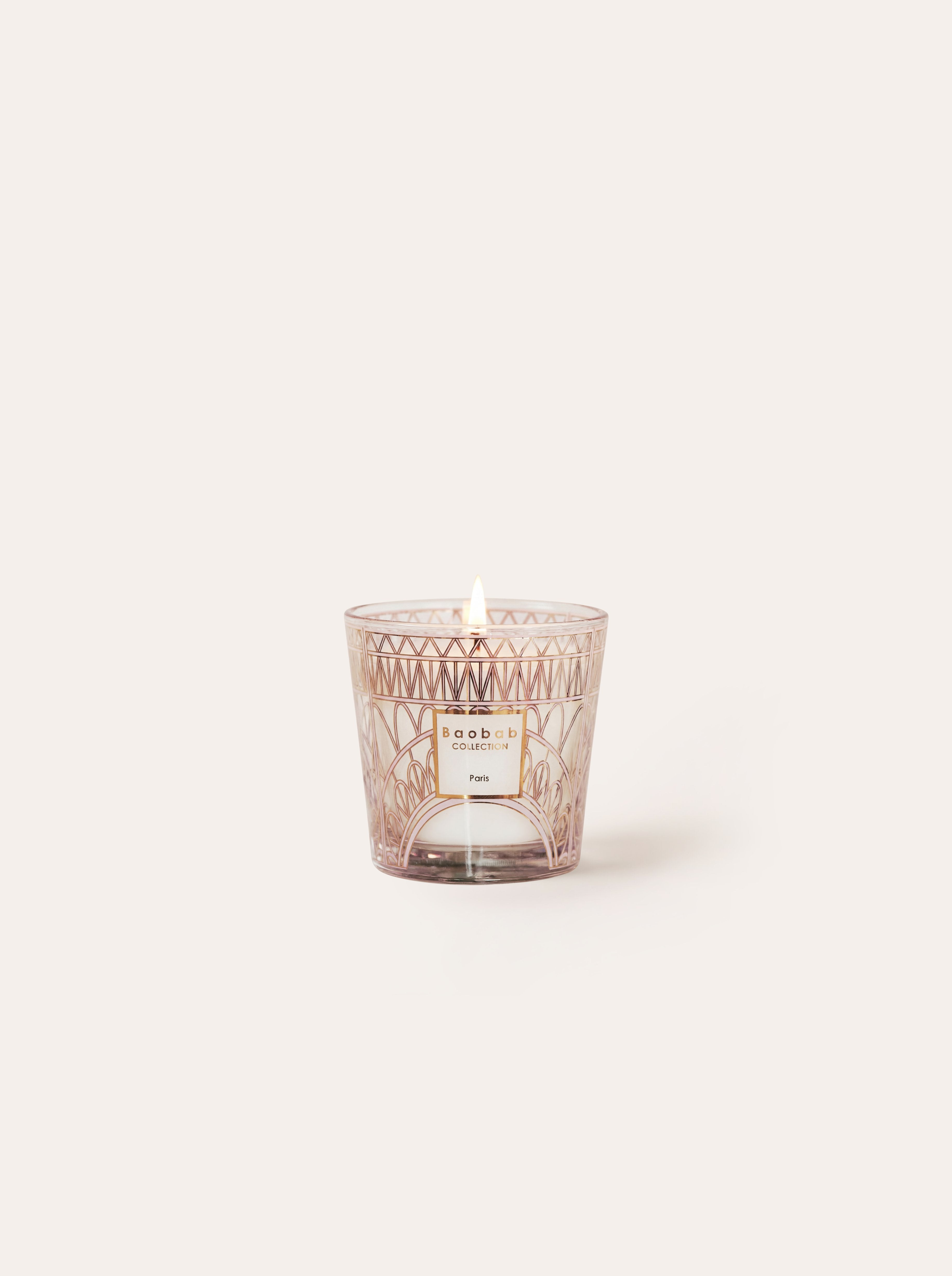 baobab-collection-my-first-baobab-bougie-paris-08mfb-floral image 1