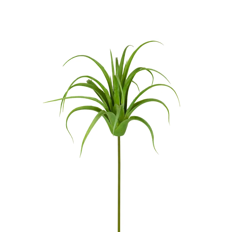 sia-deco-noah-tillandsia-artificielle-20-cm-vert-tige image 1