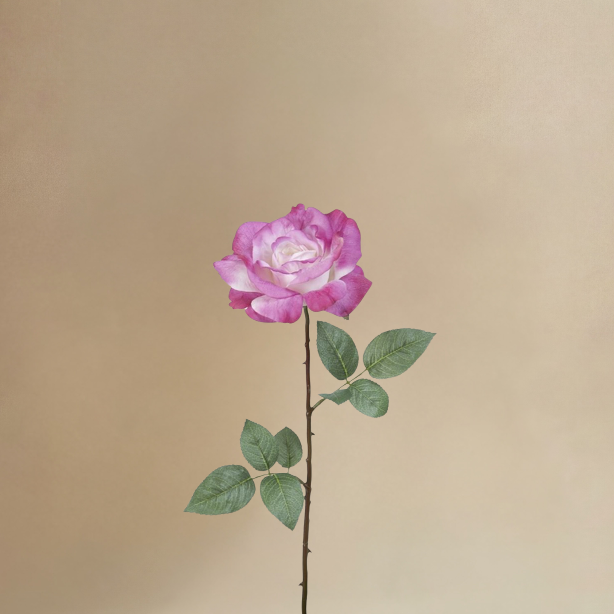 sia-noah-sophie-bouquet-roses-artificielles-24-tiges-rose image 4