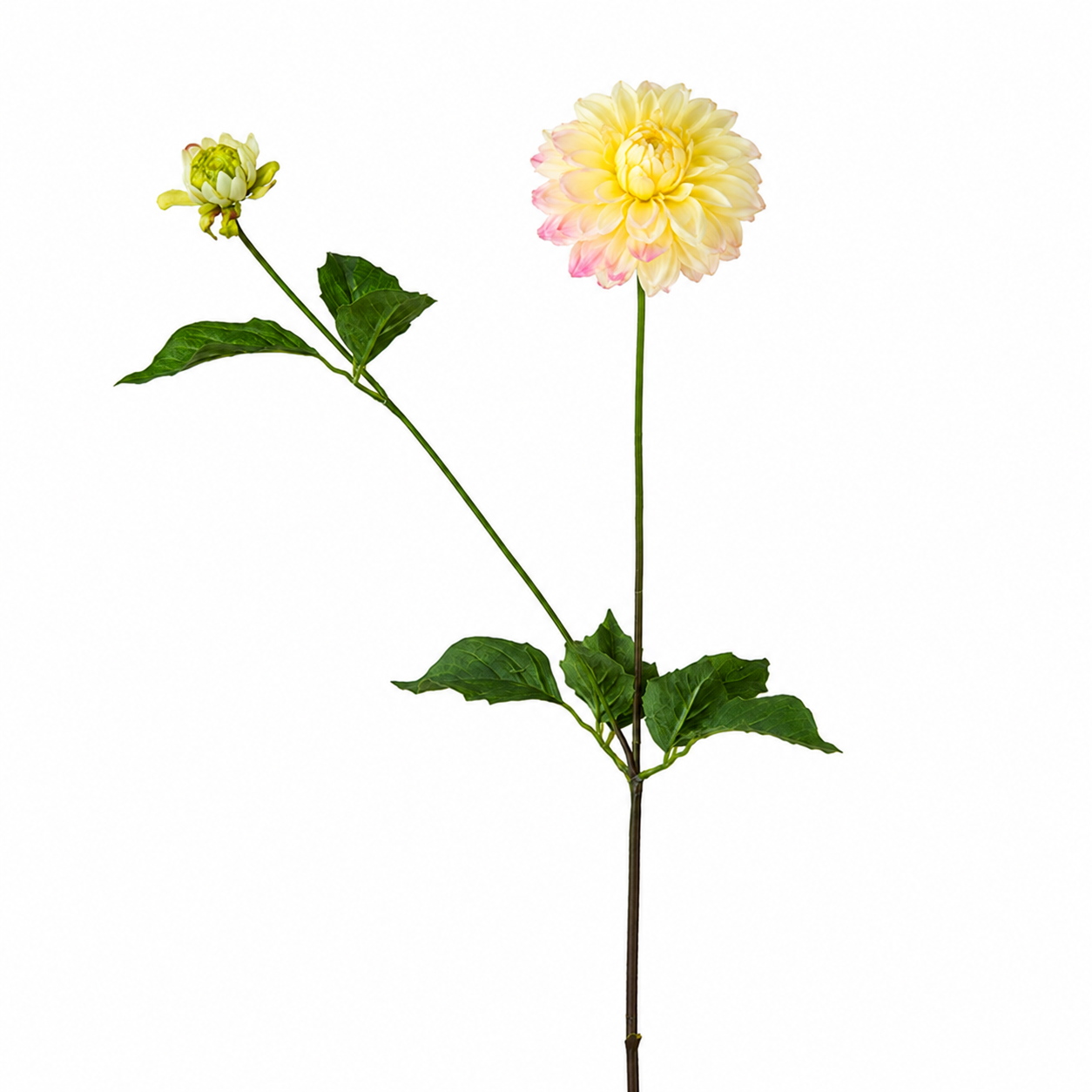 sia-noah-dahlia-tige-artificielle-69-cm-jaune image 5