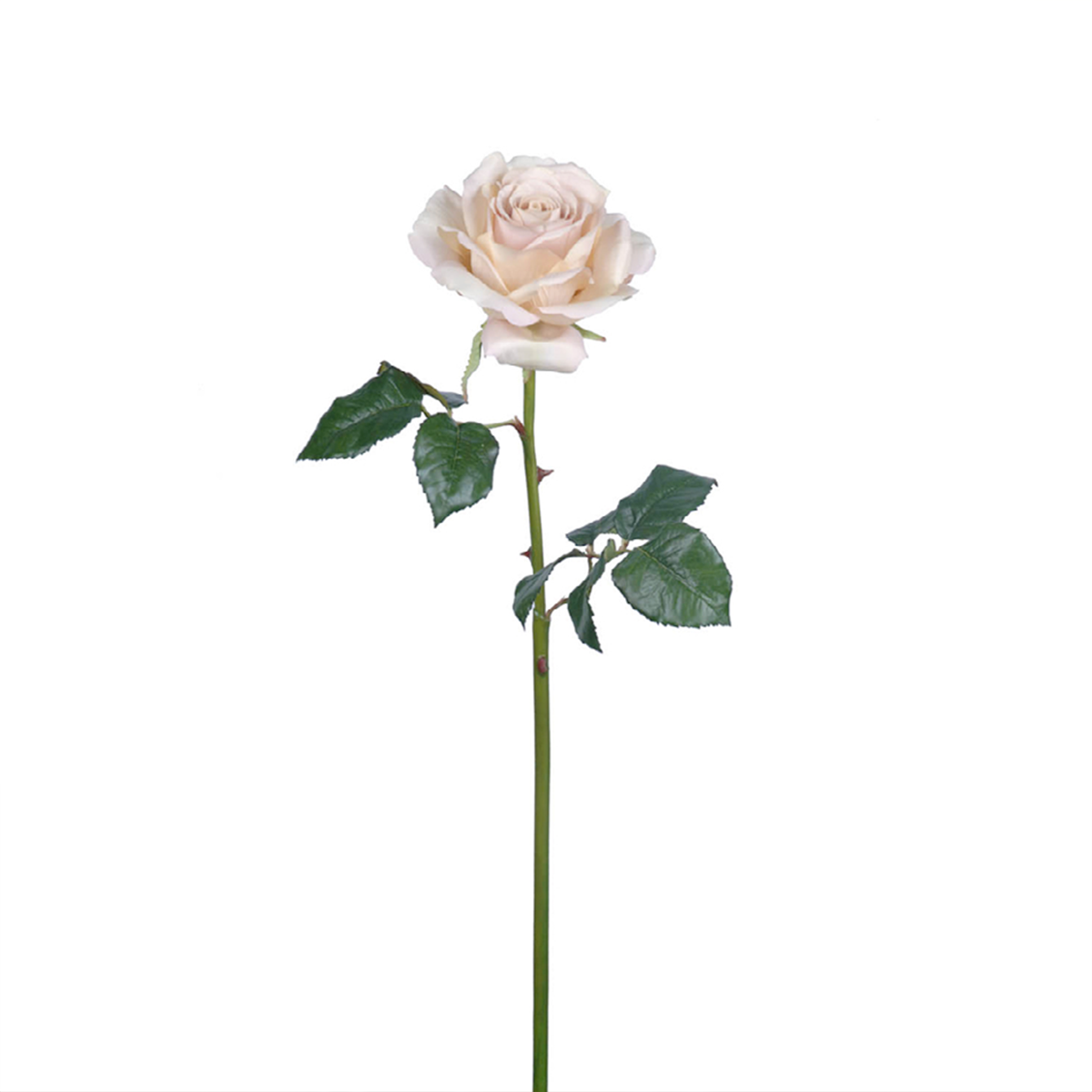 sia-deco-noah-sarah-tige-rose-artificielle-orange-57-cm image 6