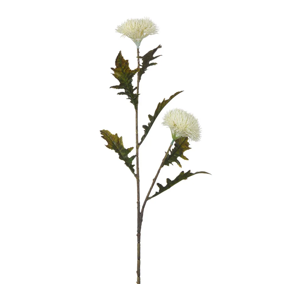 sia-noah-chardon-tige-artificielle-78-cm-blanc image 1