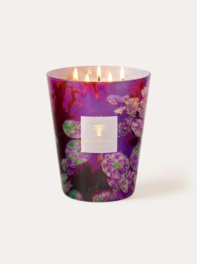 baobab-collection-arty-flowers-water-lily-bougie-parfum-e-classique-n-nuphar image 1