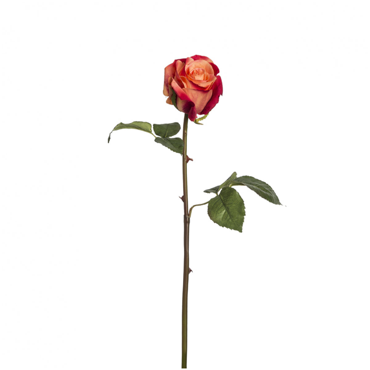 sia-noah-diane-tige-rose-artificielle-53cm-cr-me image 3
