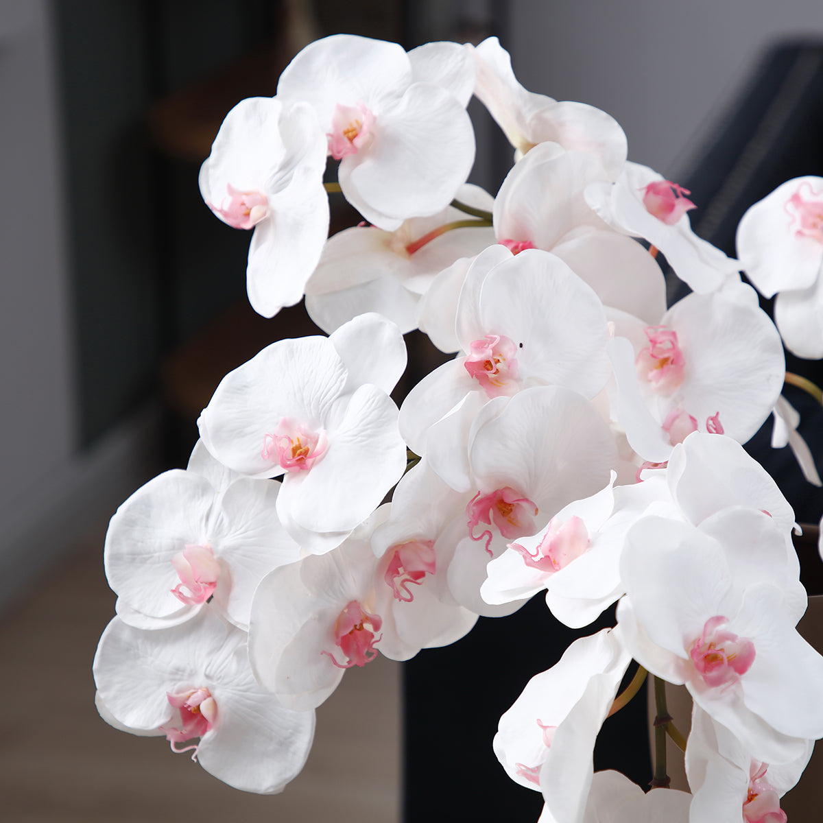 sia-noah-bandailan-tige-orchid-e-artificielle-66-cm-blanc image 3