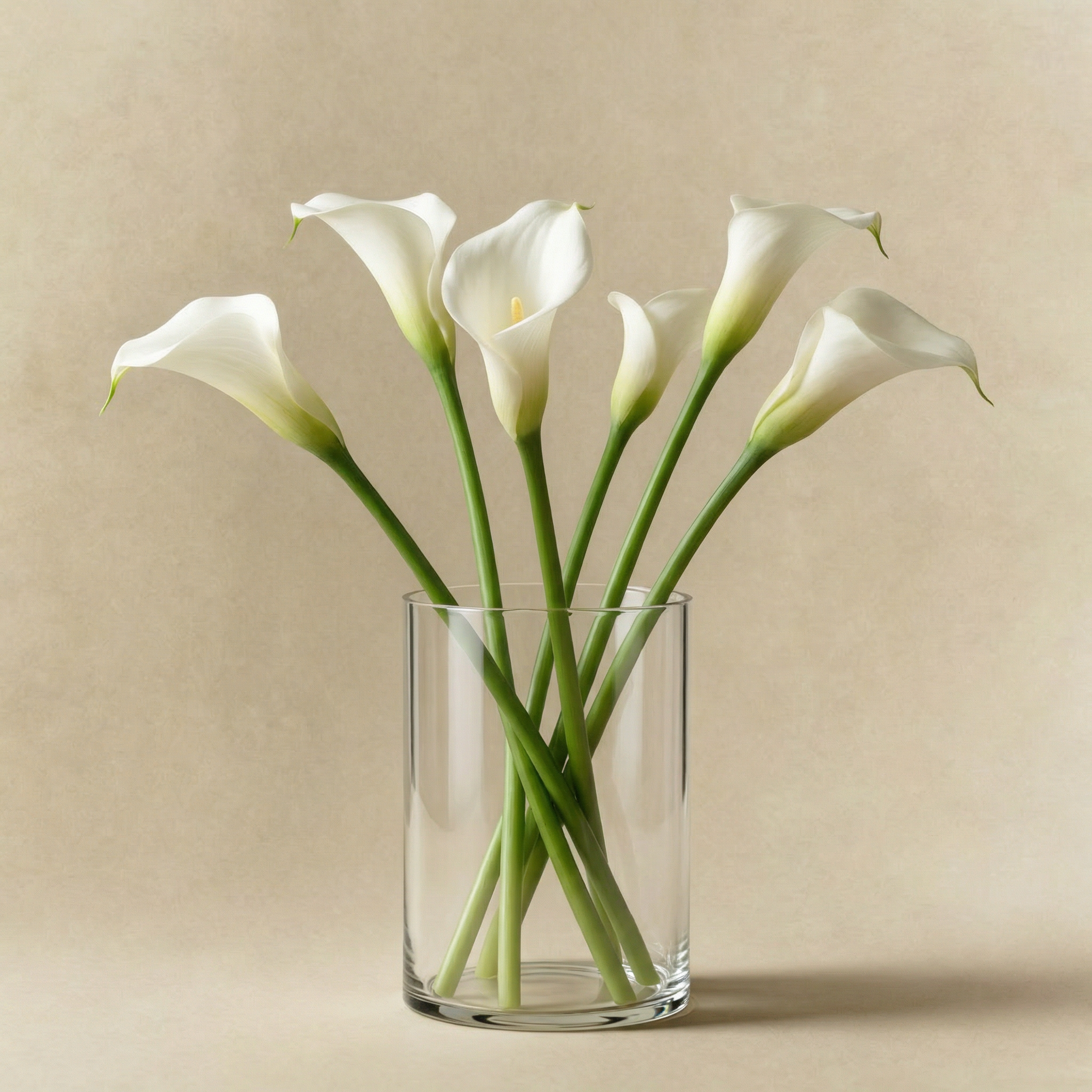 sia-nora-photophore-halo-12-cm-transparent-verre image 4
