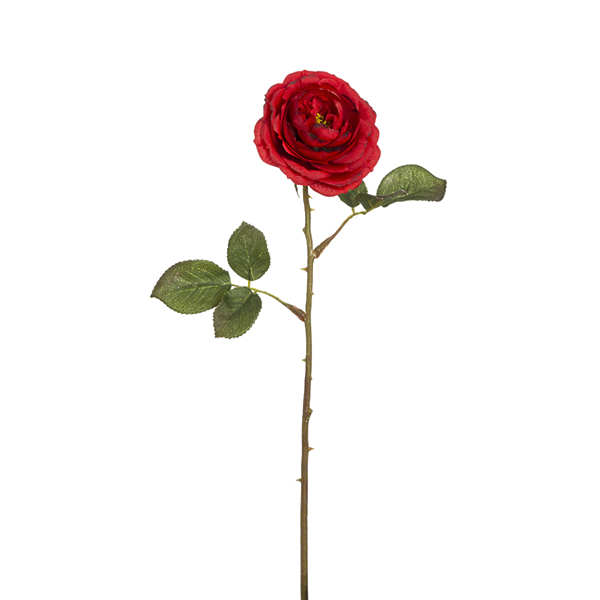sia-deco-noah-rose-tea-33-cm-fleur-artificielle-jaune image 4