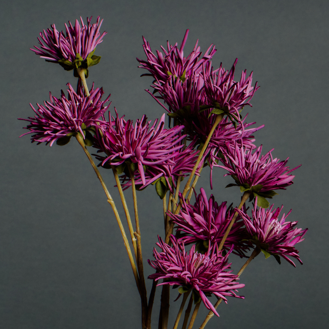 sia-noah-chrysanth-me-tokyo-tige-fleur-artificielle-mauve-73-cm image 2