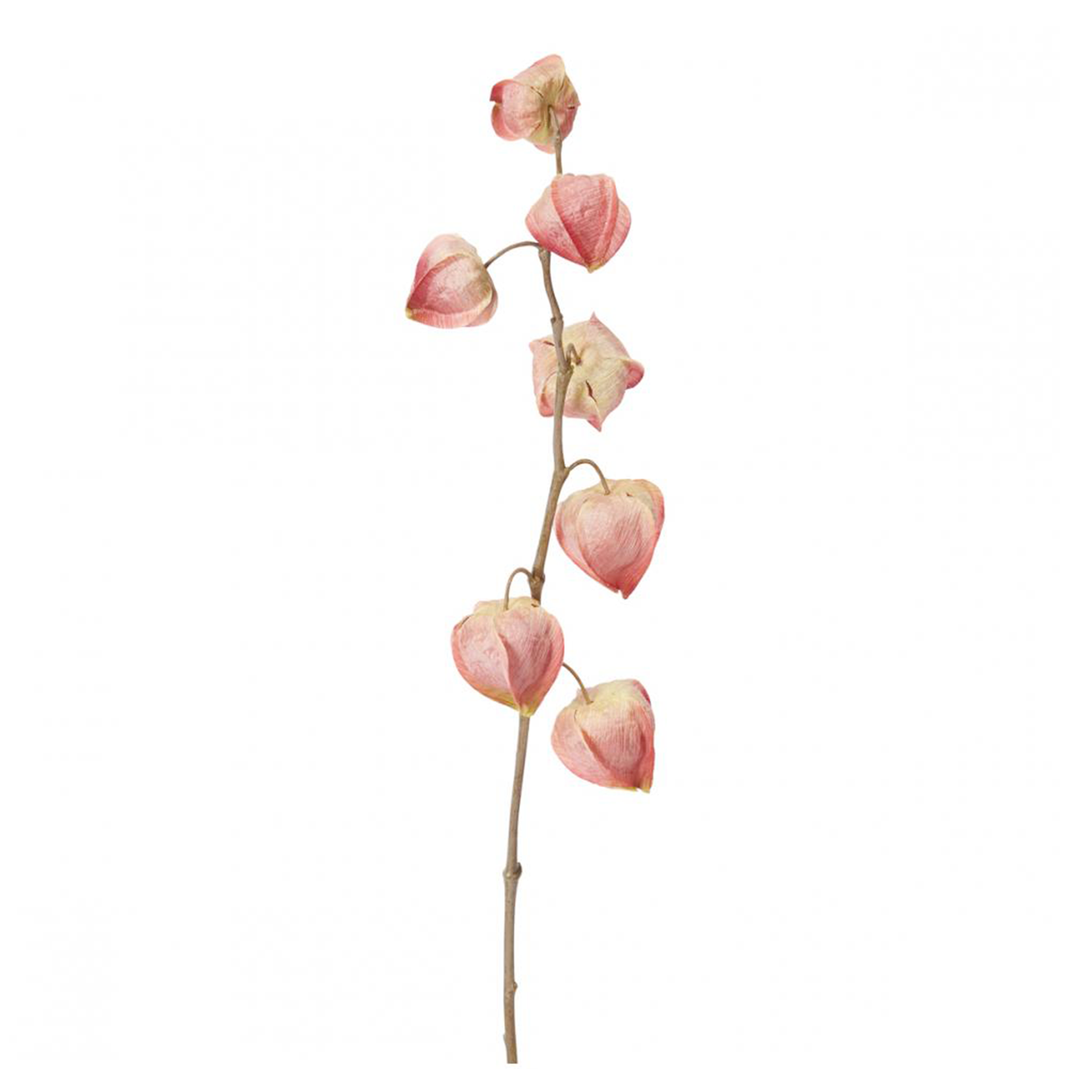 sia-deco-noah-tige-fleur-physalis-marly-90cm-bordeaux image 5