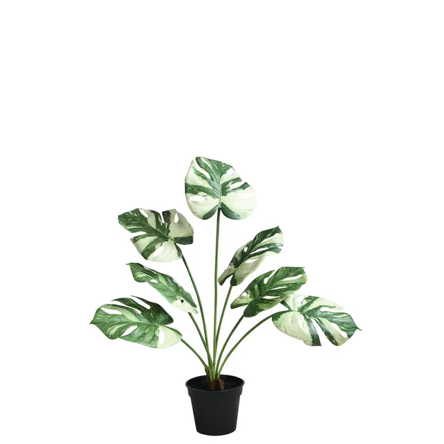 sia-deco-noah-monstera-plante-artificielle-verte-57-cm image 1