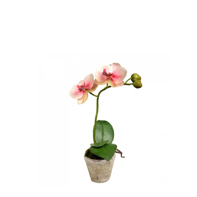 sia-noah-sina-composition-orchid-e-artificielle-rose-28-cm image 1