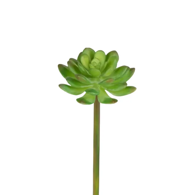 sia-deco-noah-feuillage-echeveria-vert-20-cm image 1