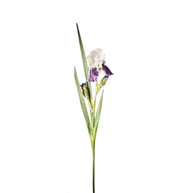 sia-deco-noah-tige-d-iris-artificielle-105-cm-blanc-violet image 1