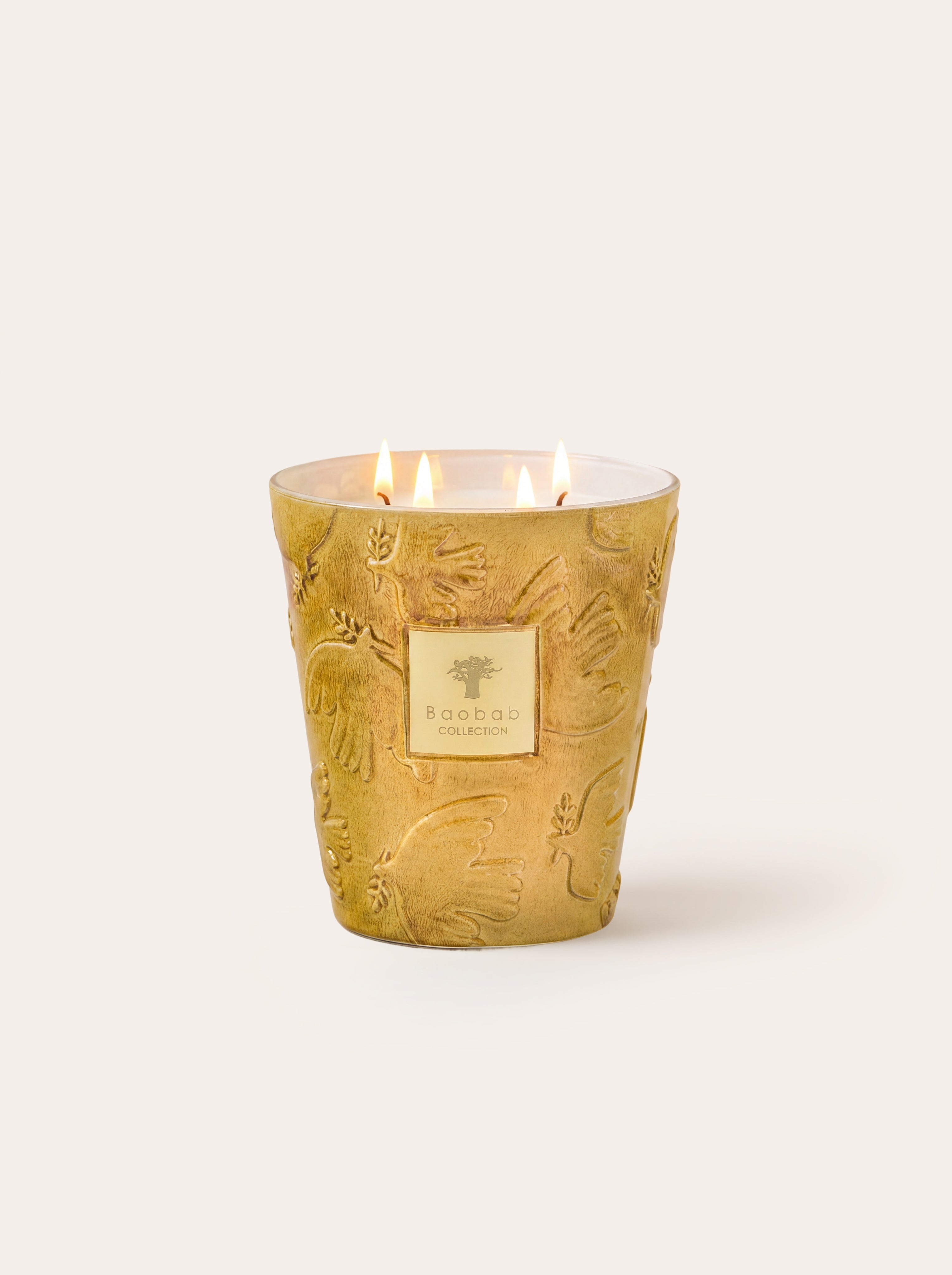 baobab-collection-paz-dove-bougie-parfum-e-classique-jaune image 7