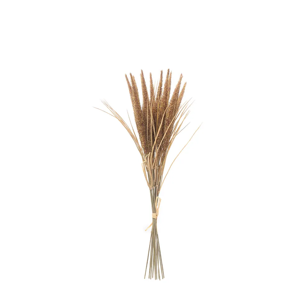 sia-deco-noah-bouquet-pampa-12-tiges-marron-50-cm image 1