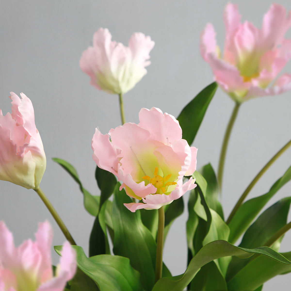 sia-deco-noah-tulipe-perroquet-tige-fleur-rose-63-cm image 6